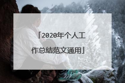 2020年个人工作总结范文通用
