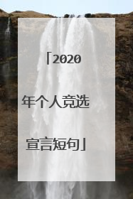 2020年个人竞选宣言短句