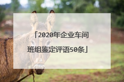 2020年企业车间班组鉴定评语50条
