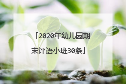 2020年幼儿园期末评语小班30条