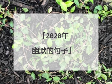 2020年幽默的句子
