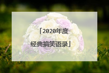 2020年度经典搞笑语录
