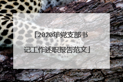 2020年党支部书记工作述职报告范文