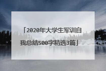 2020年大学生军训自我总结500字精选3篇
