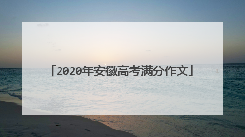 2020年安徽高考满分作文