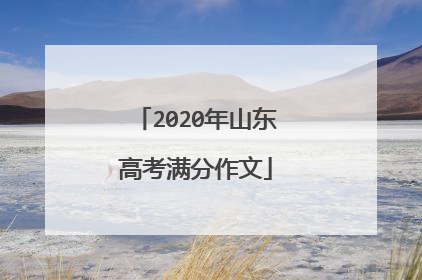 2020年山东高考满分作文