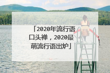 2020年流行语口头禅，2020最萌流行语出炉