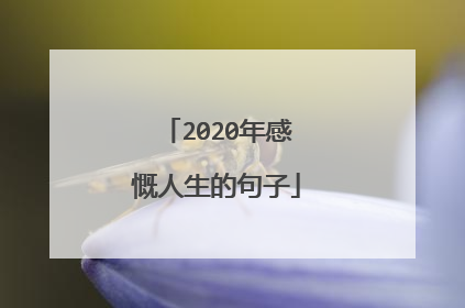 2020年感慨人生的句子