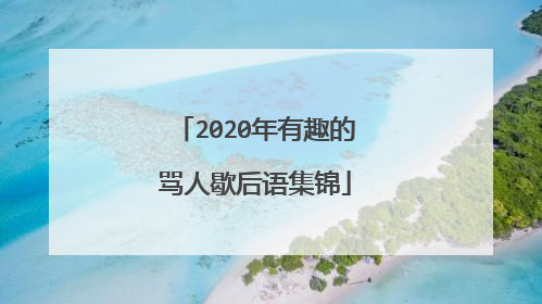 2020年有趣的骂人歇后语集锦