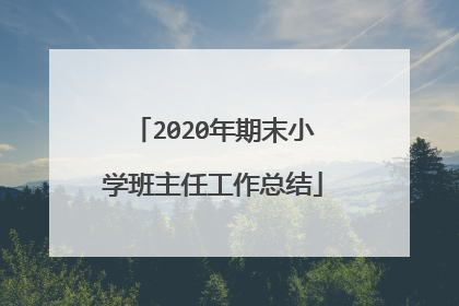 2020年期末小学班主任工作总结