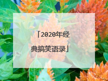 2020年经典搞笑语录