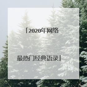 2020年网络最热门经典语录