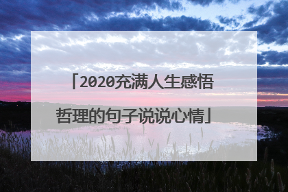 2020充满人生感悟哲理的句子说说心情