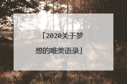 2020关于梦想的唯美语录