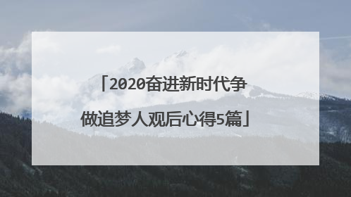 2020奋进新时代争做追梦人观后心得5篇