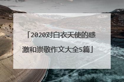 2020对白衣天使的感激和崇敬作文大全5篇