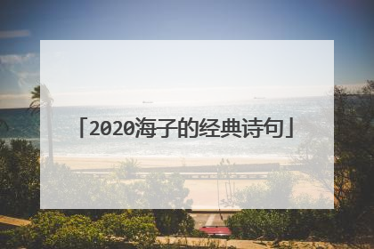 2020海子的经典诗句