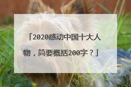 2020感动中国十大人物,简要概括200字?
