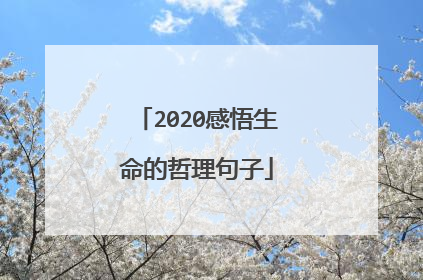 2020感悟生命的哲理句子
