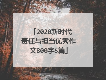 2020新时代责任与担当优秀作文800字5篇