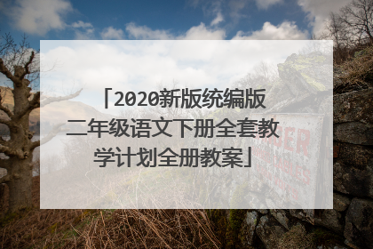 2020新版统编版二年级语文下册全套教学计划全册教案