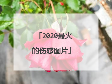 2020最火的伤感图片