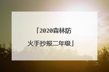 2020森林防火手抄报二年级