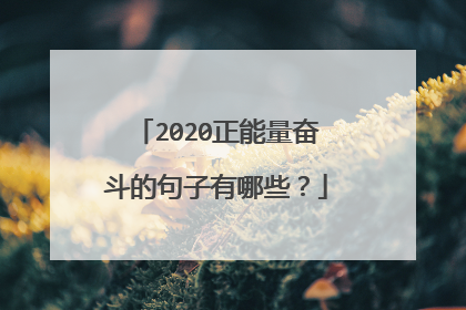 2020正能量奋斗的句子有哪些？