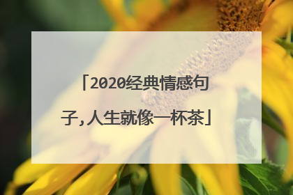 2020经典情感句子,人生就像一杯茶