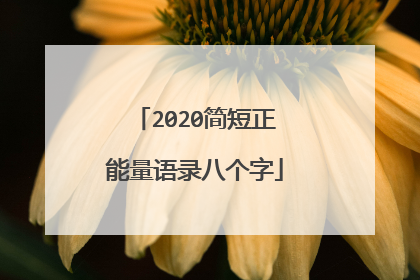 2020简短正能量语录八个字