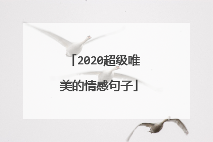 2020超级唯美的情感句子