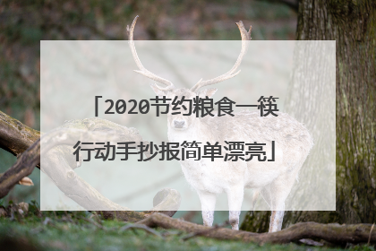 2020节约粮食一筷行动手抄报简单漂亮