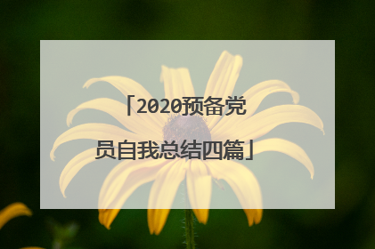 2020预备党员自我总结四篇