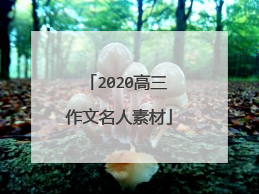 2020高三作文名人素材