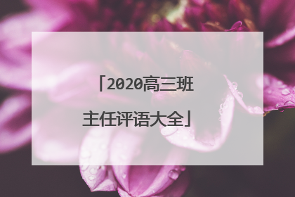 2020高三班主任评语大全
