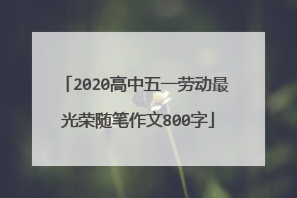 2020高中五一劳动最光荣随笔作文800字