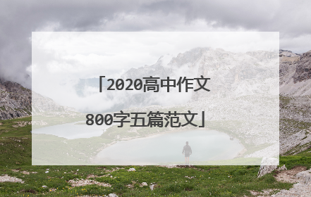 2020高中作文800字五篇范文