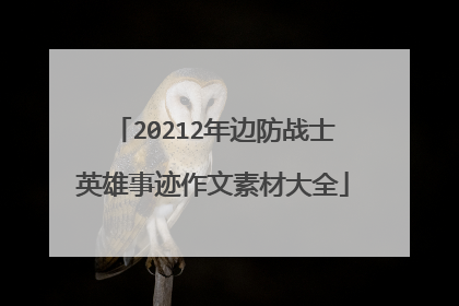 20212年边防战士英雄事迹作文素材大全