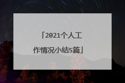 2021个人工作情况小结5篇