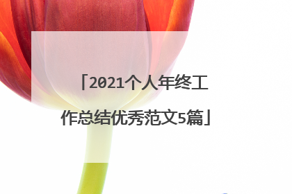 2021个人年终工作总结优秀范文5篇