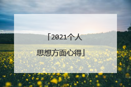 2021个人思想方面心得