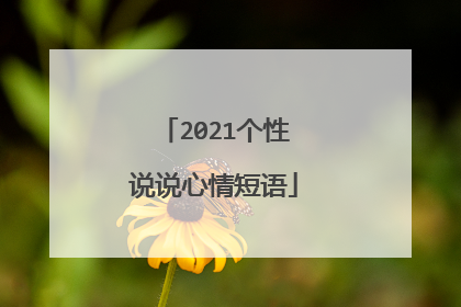 2021个性说说心情短语