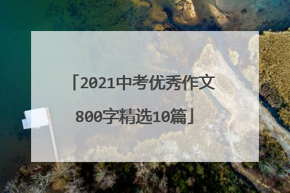 2021中考优秀作文800字精选10篇