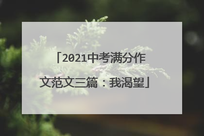 2021中考满分作文范文三篇：我渴望