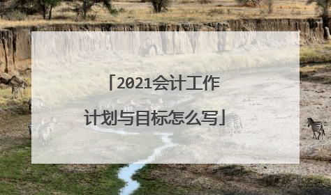 2021会计工作计划与目标怎么写