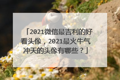 2021微信最吉利的好看头像,2021最火牛气冲天的头像有哪些?