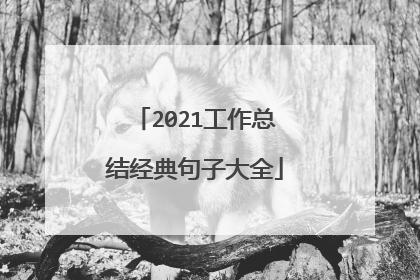 2021工作总结经典句子大全