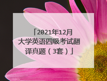 2021年12月大学英语四级考试翻译真题(3套)