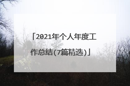 2021年个人年度工作总结(7篇精选)