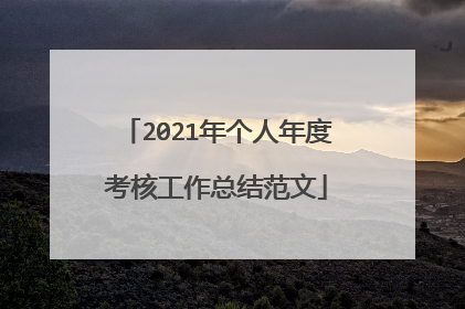 2021年个人年度考核工作总结范文
